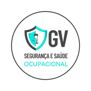 GV Segurança